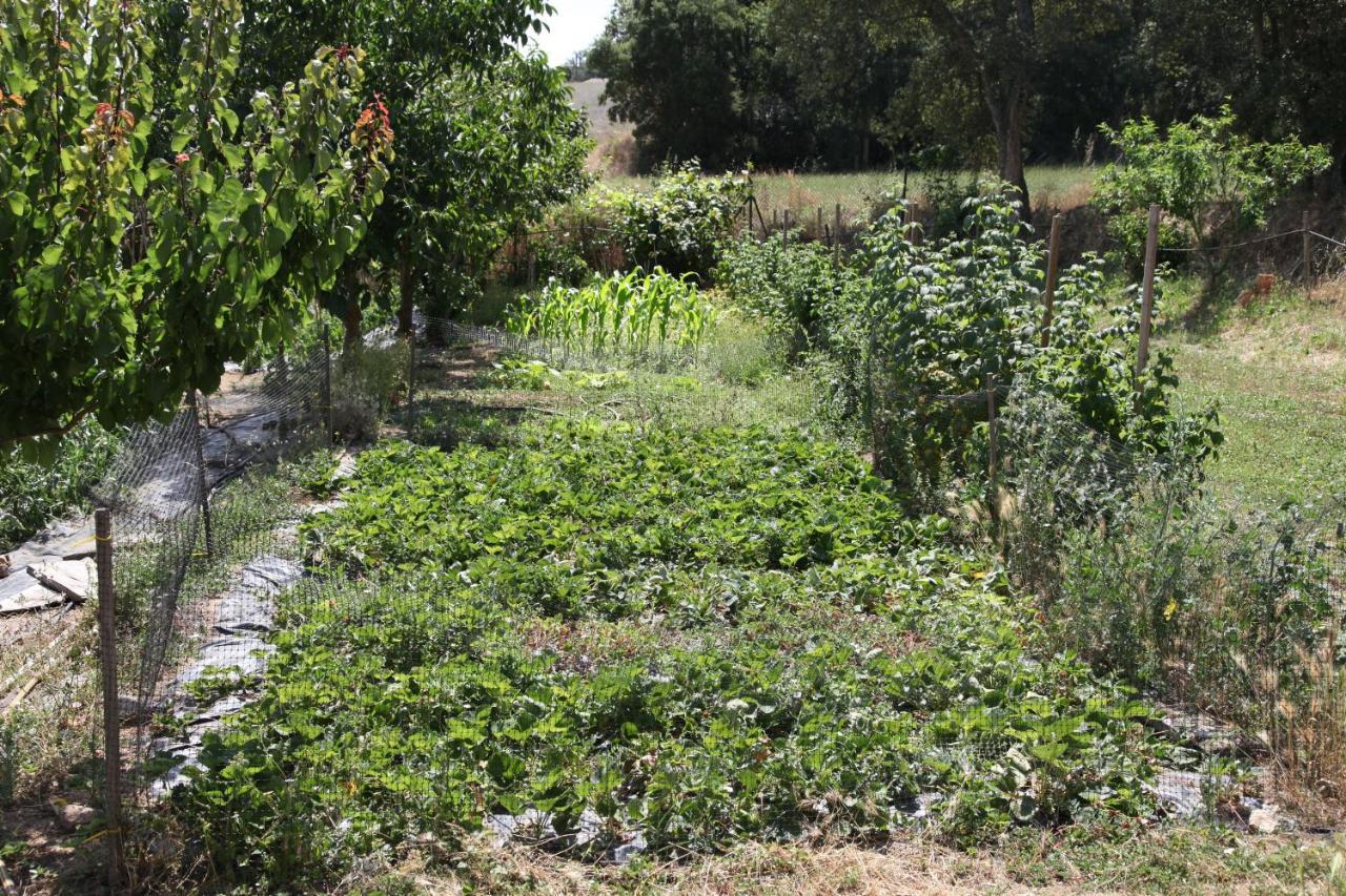 Can Cabanyes Llagostera Exterior foto